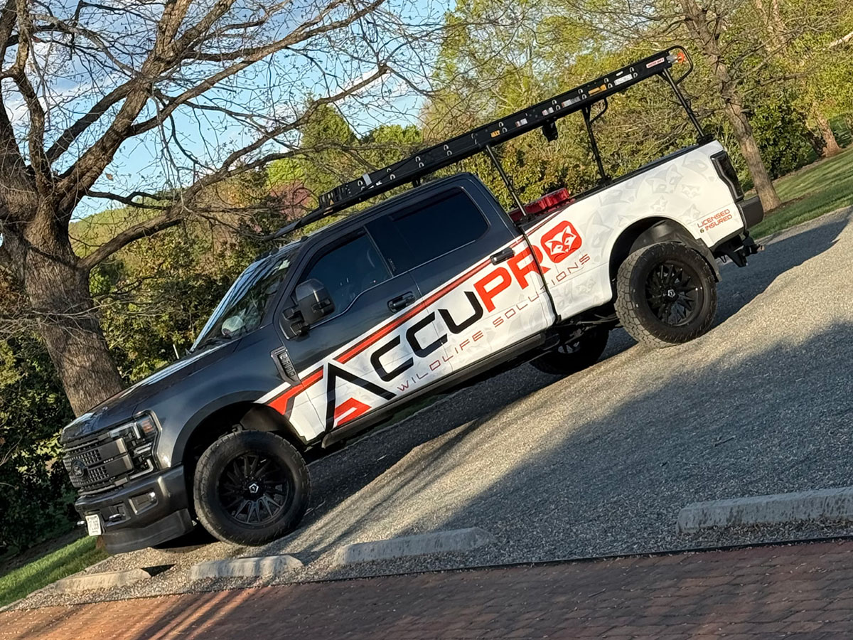 AccuPro Wildlife Solutions wildlife service truck