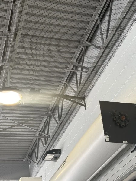 Stealth commercial bird netting installed around overhead structural beams and lighting